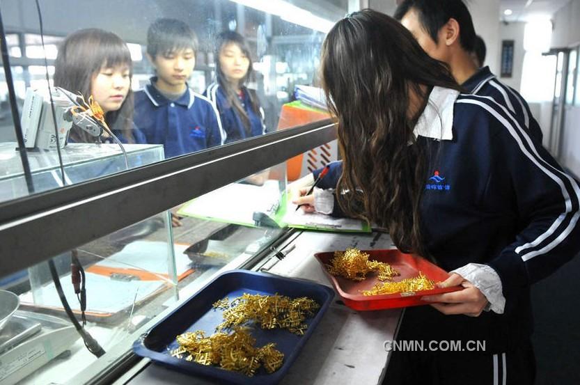 黃金原料的領料稱重。