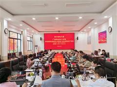 長沙有色院承擔的廣西科技重大專項通過專家驗收